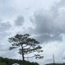 민들레울 | 포천 소규모 돌잔치 고모리 민들레울 한정식 출장돌상 대여