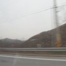 봉순펜션 | 몽이랑펜션다녀왔어요,애견펜션후기,몽이랑펜션♡
