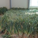 함양푸드뱅크 이미지