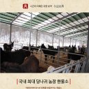 한울소농장 네이버블로그