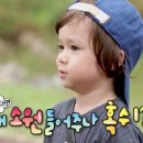 라니 이미지