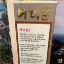 어디손물회