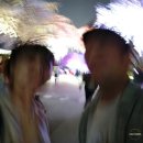 과천 사람의 꽃놀이 (렛츠런파크 야간 벚꽃 후기 + 대공원)