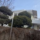 구암동251 이미지