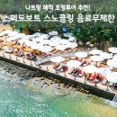 스피드투어 - 서구 심곡로 9 | 나트랑 해적 호핑투어 후기, 스피드보트 스노클링 음료무제한 총정리