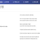 파파코