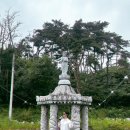 옥천공설시장내팜 | 강원도 고성 막국수여행 하늬라벤더팜 (백촌,동루골)