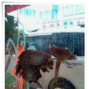 명가낙지마당 이미지