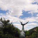 상명대학교 교육대학원 이미지