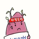 노동법 기본서출간안내 및 판례 암기에 대하여_이지혜 노무사 이미지