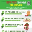 대해벌목