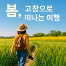 고창전통시장 | 고창 청보리밭 개화 시기·유채꽃 명소 총정리 (2025 최신)