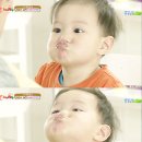 태오 Daum카페