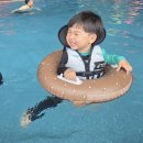 로얄아쿠아 | [제주도 동쪽 가족 리조트 휘닉스아일랜드제주 A동 54평 로얄스위트 내돈내산 솔직후기]