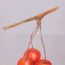 태학산로 이미지