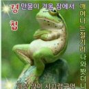 개구리집 이미지