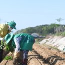 대신면새마을지도자협의회 이미지