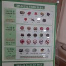 (주)코리트 | [공포의 장세척약 먹기] 수면대장내시경, 수면위내시경 검사비용과 검사후기