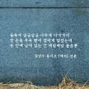 김양수「매미」 이미지