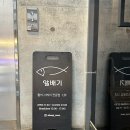 마포-현장-마포-1498 | 합정 고등어회 맛집 알배기 솔직후기 (feat. 활고등어, 도다리)
