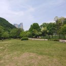 구갈레스피아 이미지