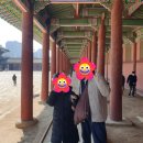 [서울] 광화문, 경복궁 관람 팁 및 후기 (서울 아이와 갈만한 곳)