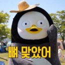 바디제이짐 이미지