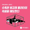 [핫핑크돌핀스 성명서] 수족관 범고래 롤리타의 죽음을 애도한다 이미지