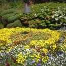 영어회화반 이미지