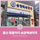 송정백세약국