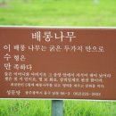 주식회사 성문당 Daum카페