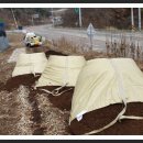 파란들농장 이미지