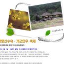 [경기 양평] 개군산 산수유 축제 - 2010년4월2일(금)~4일(일) 이미지