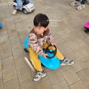 수지농장 | 용인 딸기체험농장 포레스트벨에서 동물먹이주기체험까지 주말 오픈런 후기