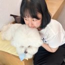 신중로 이미지