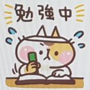 곤니찌와 일본어 중급 | jlptn2독학 이번엔 될지어다
