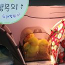 GS25 대의아카데미점 네이버블로그
