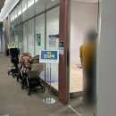 화원농장 | 마더비문화원 헬로 오감쿡 원데이 클래스 황금배