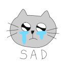 멍지펫살롱 이미지