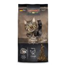 레오나르도 이미지