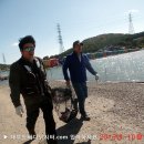 대부도바다낚시터 이미지