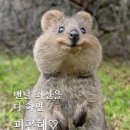 세종모터스 이미지