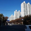 사리울삼거리 이미지