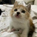 역전주차장 이미지