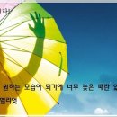 칸트의시간 이미지