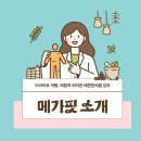 메가한의원 | 다이어트) 야탑 &#39;태헌한의원&#39; 메가핏 한 달 후기
