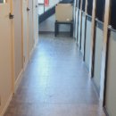 동구릉로200번길 이미지