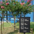 건대로데오거리 이미지