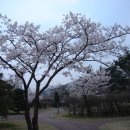 안산공원 이미지