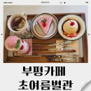 (단기) 카페 메뉴 디저트 | 부평 평리단길 카페 초여름별관 디저트 맛집 다녀온 후기